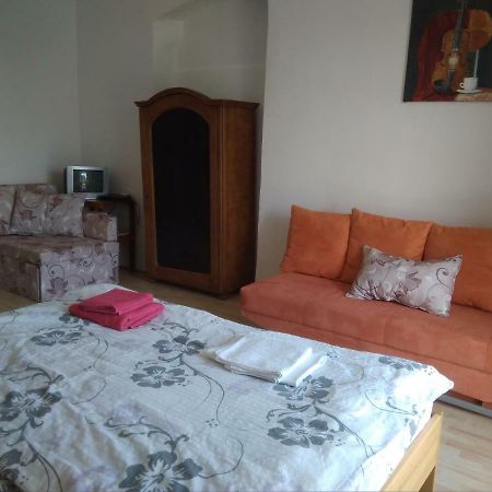 Dvur V Borovne Apartment Borovna Luaran gambar