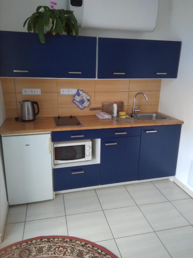 Dvur V Borovne Apartment Borovna Luaran gambar